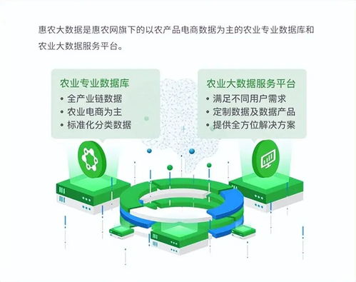 惠農(nóng)網(wǎng) 數(shù)字化產(chǎn)業(yè)服務(wù)十年助農(nóng)路，從追趕到超越的數(shù)字內(nèi)容賦能之旅